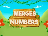 https://www.snoyun.com.tr/game/merges-numbers