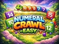https://www.snoyun.com.tr/game/numeral-crawl-easy