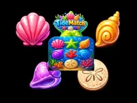 https://www.snoyun.com.tr/game/tidematch