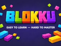 https://www.snoyun.com.tr/game/blokku
