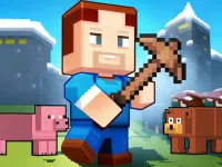 https://www.snoyun.com.tr/game/terra-craft-world